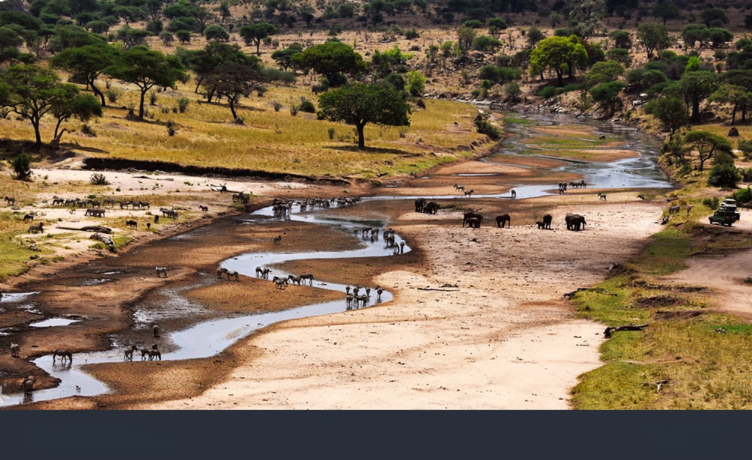 Serengeti Express