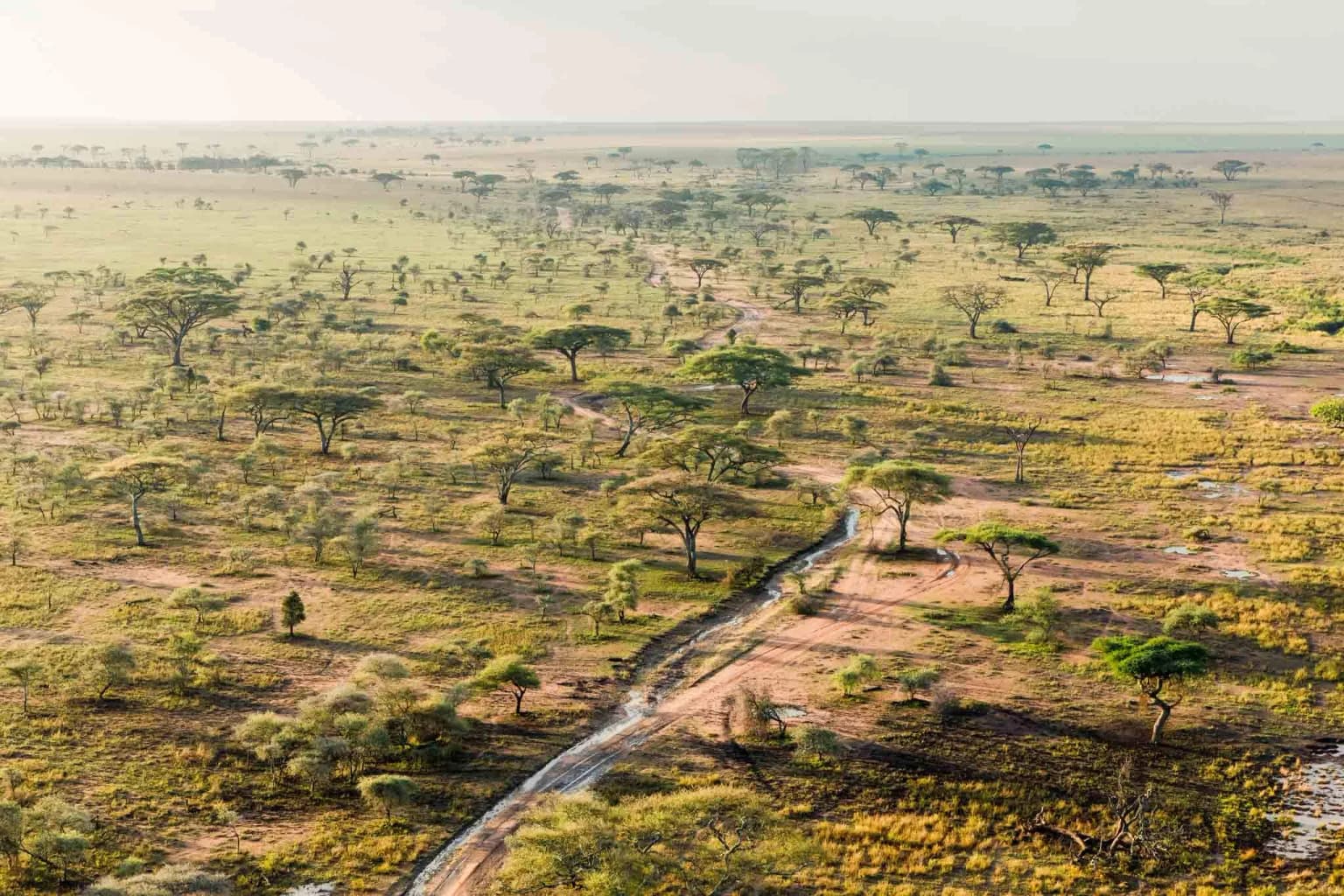 Ngorongoro & Serengeti Circuit