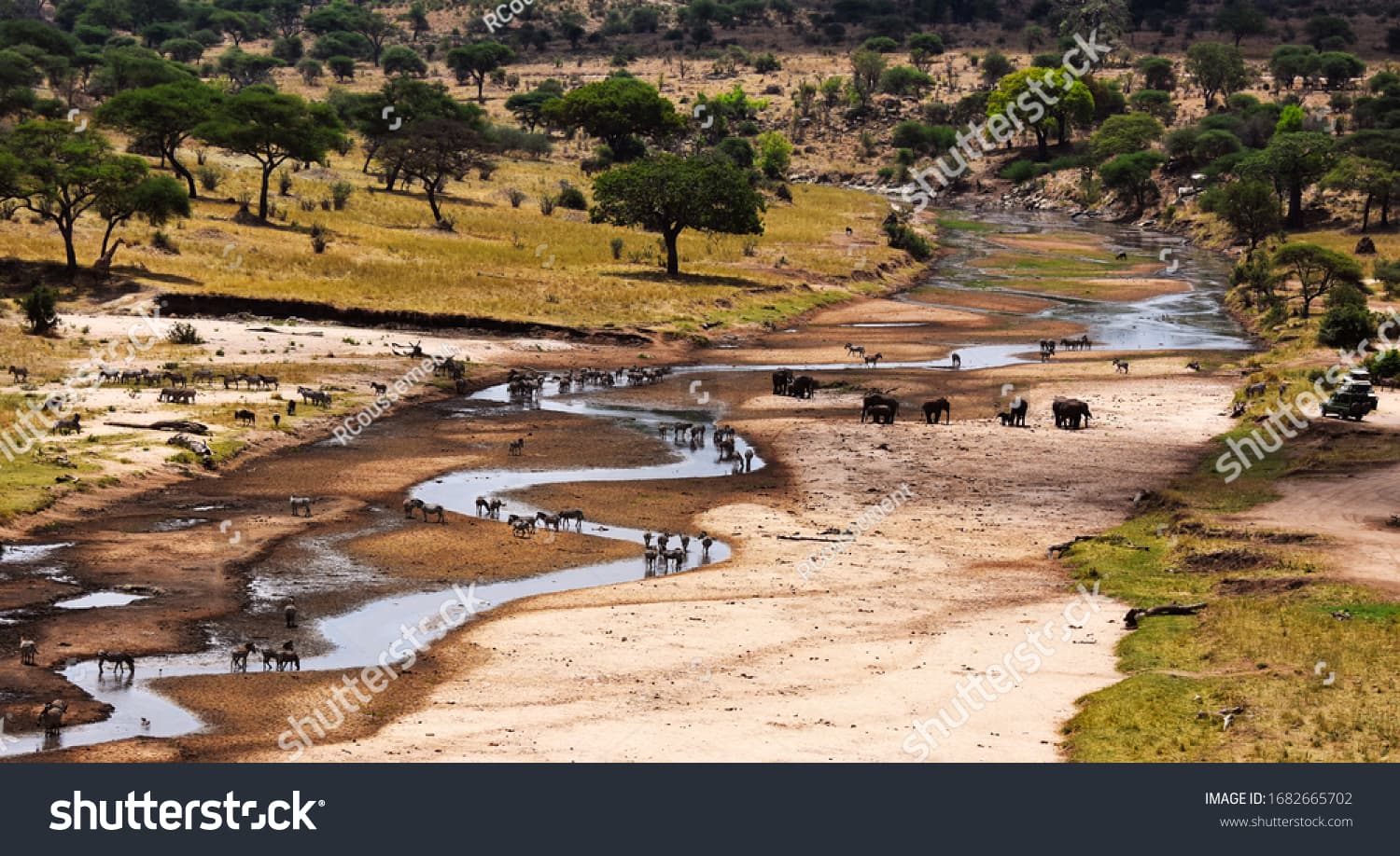 Safari Kaskazini