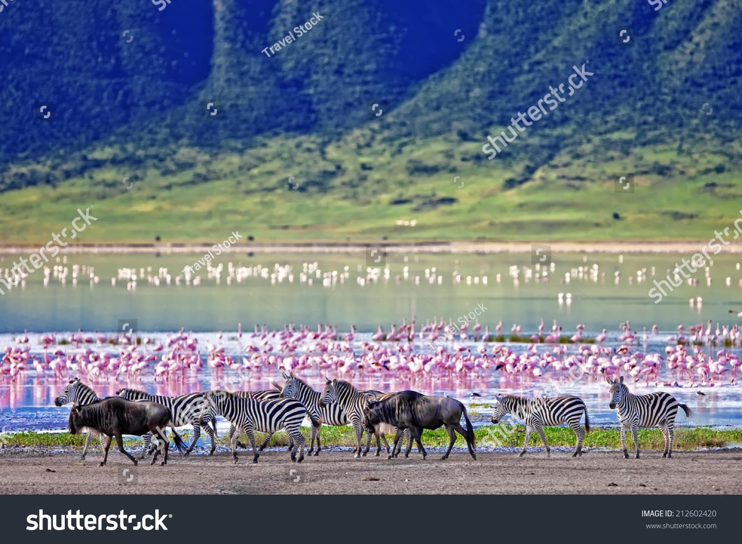 Northern Tanzania Grand Circuit